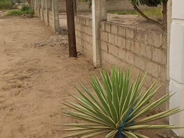 Terreno para Venda em Matola - 5