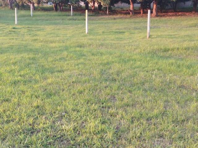 Terreno para Venda em Matutuine - 5