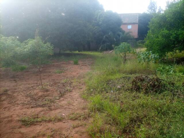 #16 - Terreno para Venda em Matola - Maputo