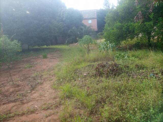 Terreno para Venda em Matola - 4