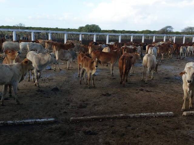 Área para Venda em Matutuine - 4