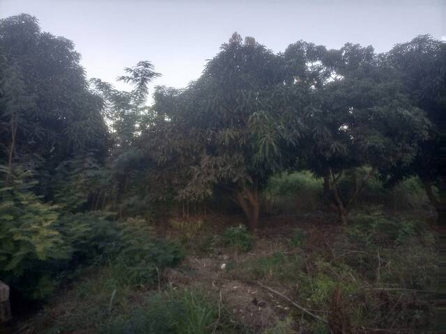 #25 - Área para Venda em Matola - Maputo