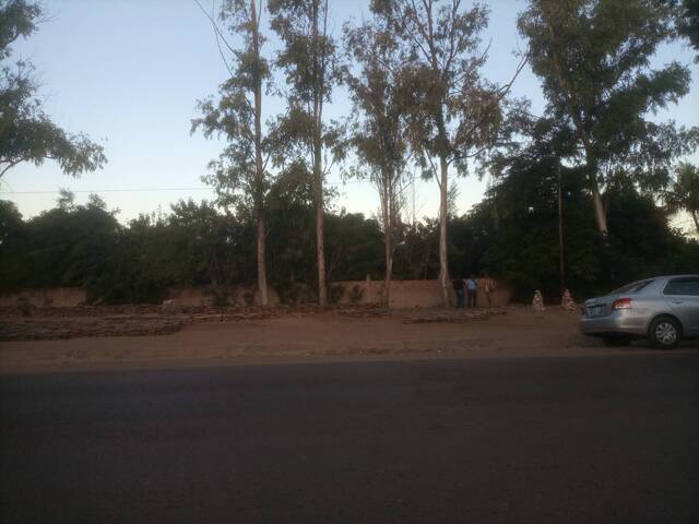 Área para Venda em Matola - 5