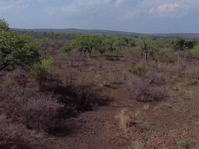 #26 - Área para Venda em Moamba - Maputo