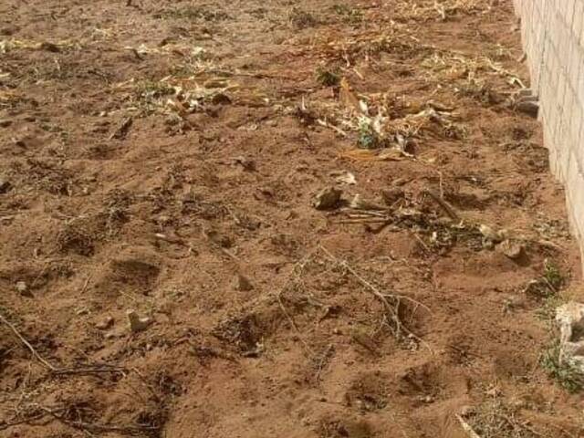 Área para Venda em Matola - 4