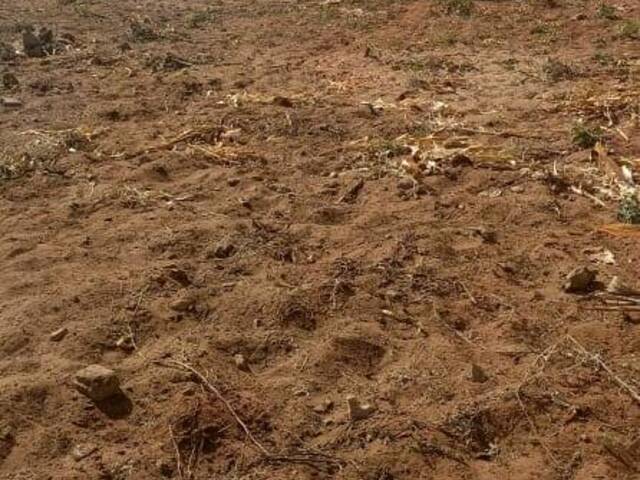 #31 - Área para Venda em Matola - Maputo