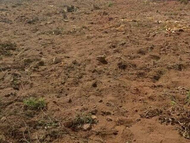 Área para Venda em Matola - 5