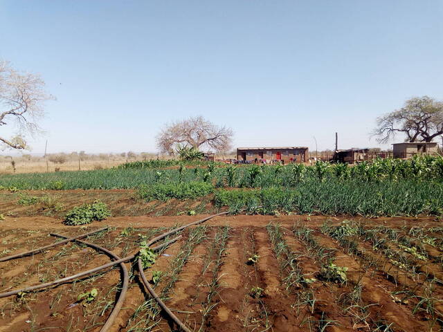 #32 - Área para Venda em Moamba - Maputo