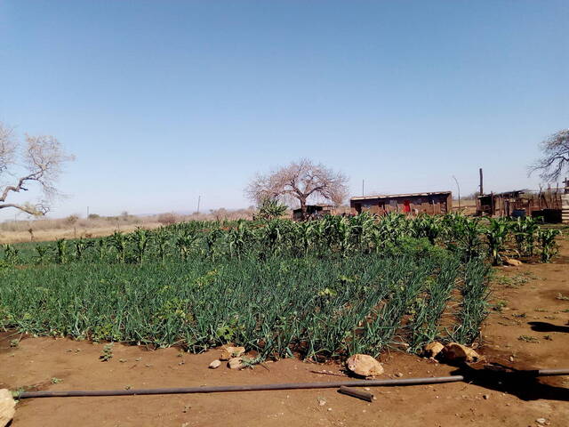 #32 - Área para Venda em Moamba - Maputo