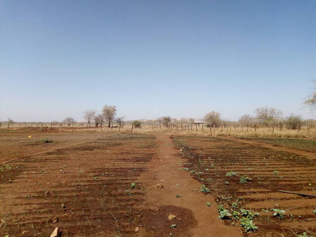Área para Venda em Moamba - 4
