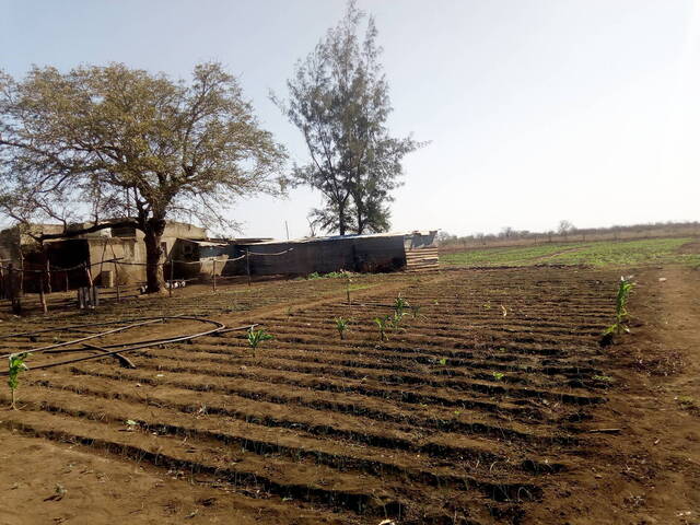 Área para Venda em Moamba - 5
