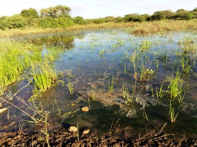 #57 - Área para Venda em Matutuine - Maputo - 1