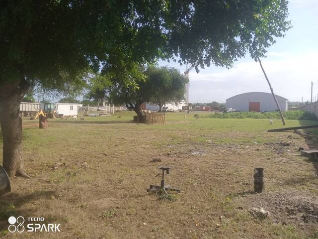 #58 - Área para Venda em Maputo - Maputo - 2