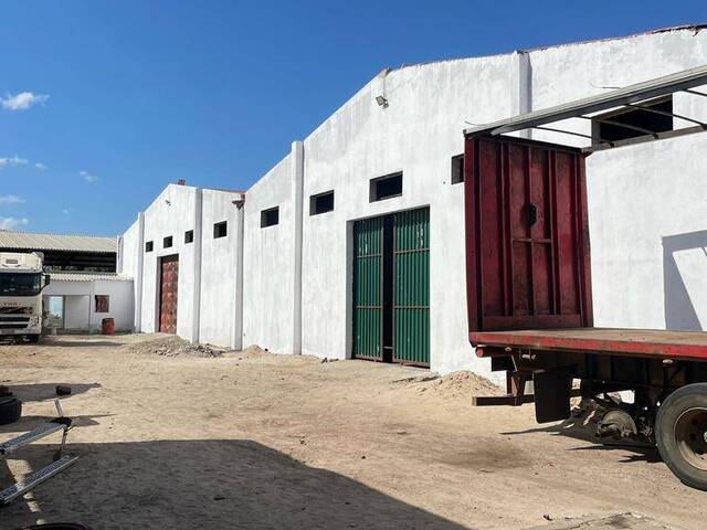 #65 - Galpão para Venda em Matola - Maputo - 3
