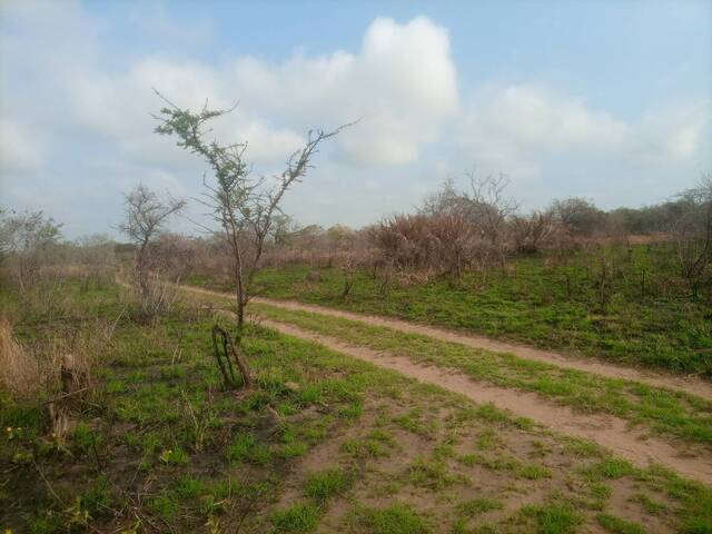Área para Venda em Maputo - 3