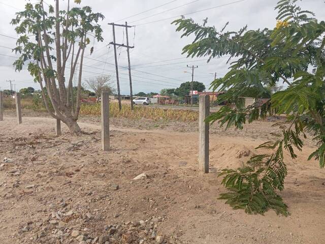 Terreno para Venda em Matola - 3