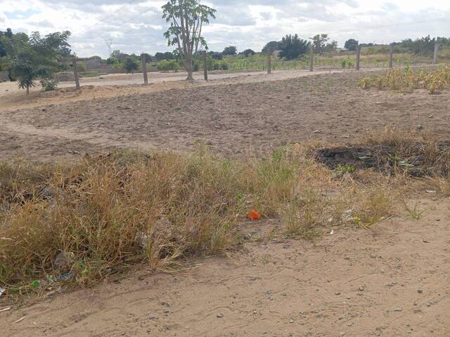 Terreno para Venda em Matola - 5
