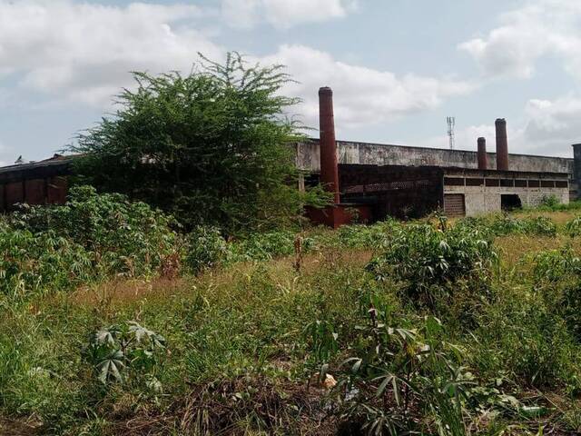 Área para Venda em Matola - 5