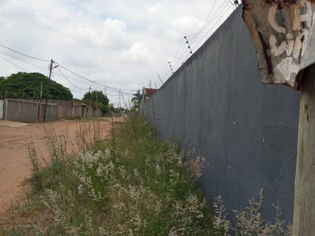 Terreno para Venda em Matola - 5