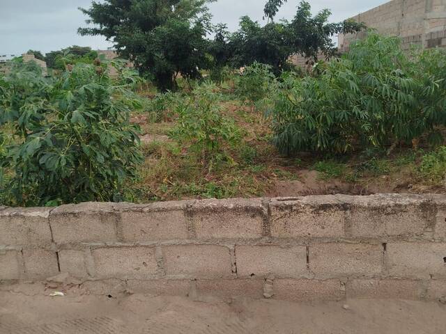 Terreno para Venda em Matola - 4
