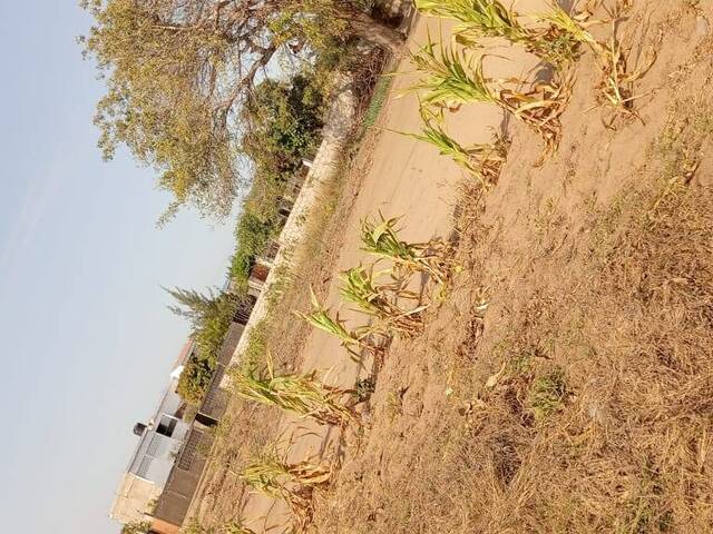 Terreno para Venda em Matola - 2