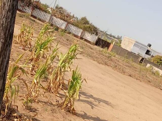 Terreno para Venda em Matola - 3
