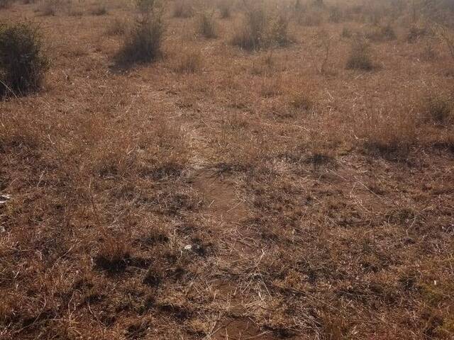 #114 - Área para Venda em Boane - Maputo - 3