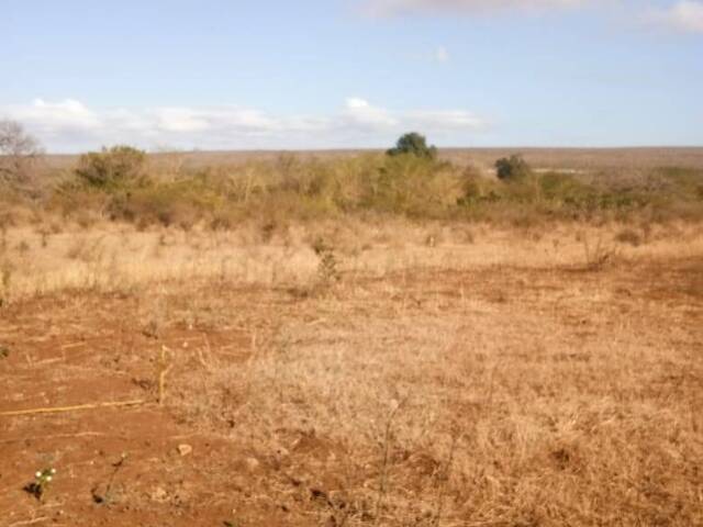 Área para Venda em Boane - 5