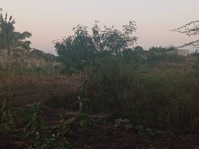 Terreno para Venda em Boane - 5