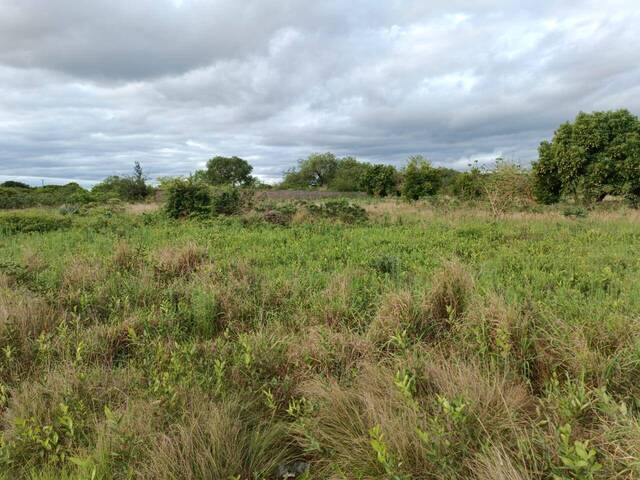 #153 - Área para Venda em Moamba - Maputo - 2
