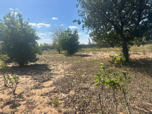 #153 - Área para Venda em Moamba - Maputo - 3