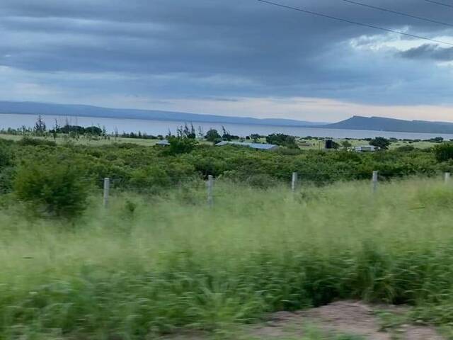 Área para Venda em Boane - 4