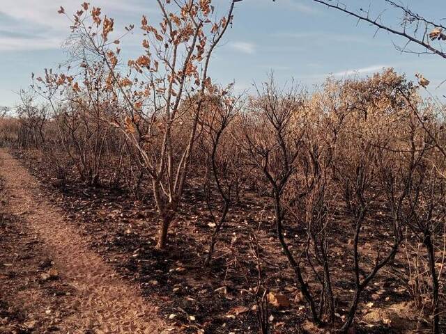 #157 - Área para Venda em Boane - Maputo - 2