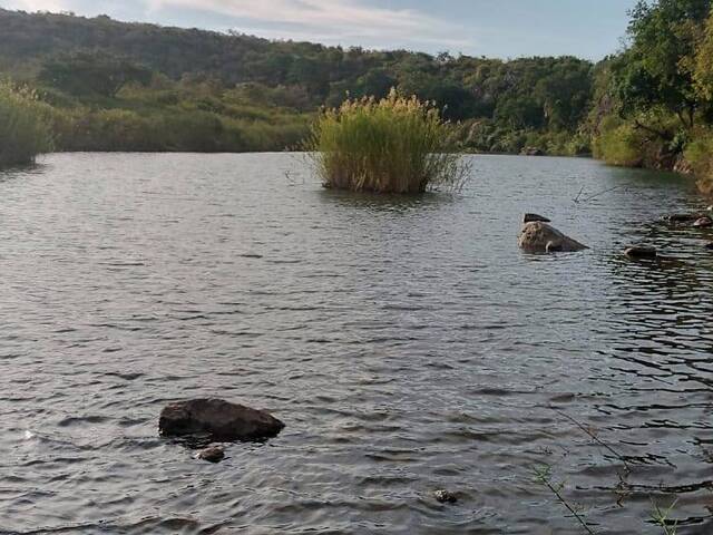 #157 - Área para Venda em Boane - Maputo - 3