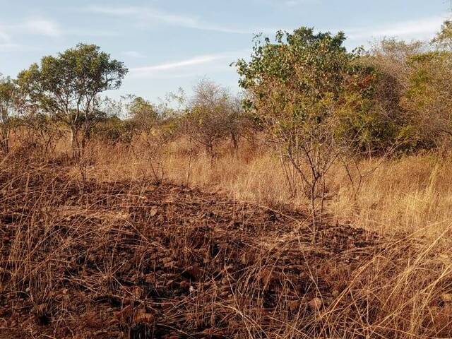 Área para Venda em Boane - 5