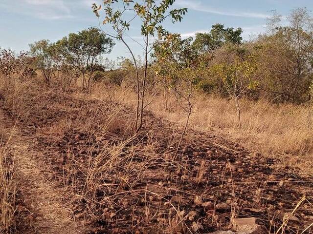 Área para Venda em Boane - 4