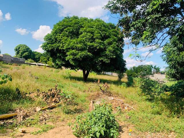 Venda em Bairro Tsalala - Matola