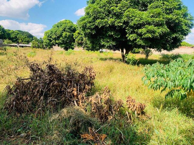 Área para Venda em Matola - 2