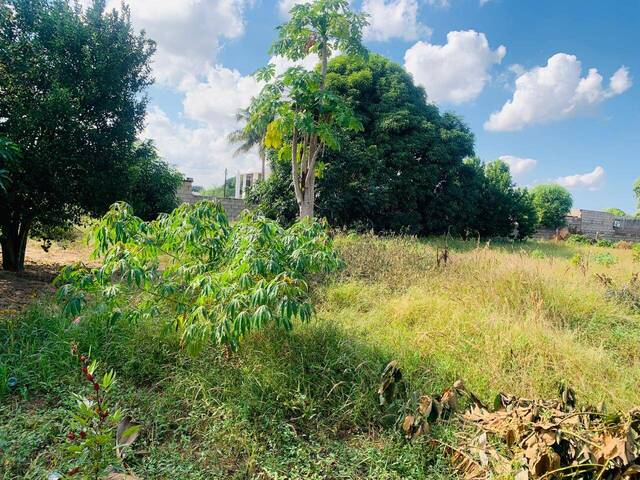 Área para Venda em Matola - 3