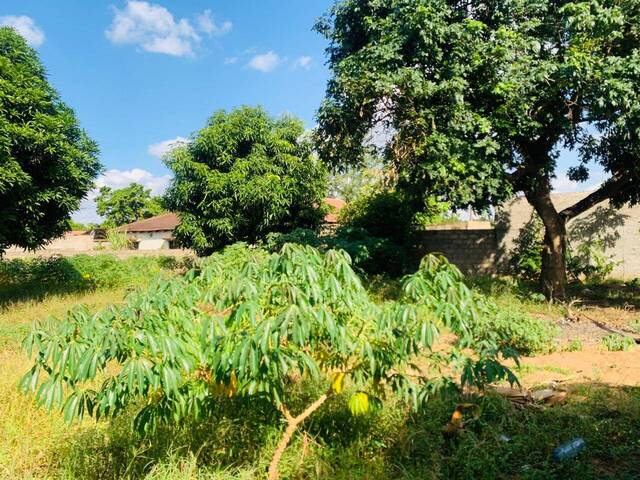 Área para Venda em Matola - 4