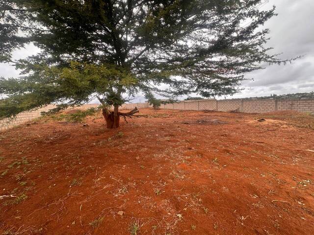 Terreno para Venda em Matola - 3