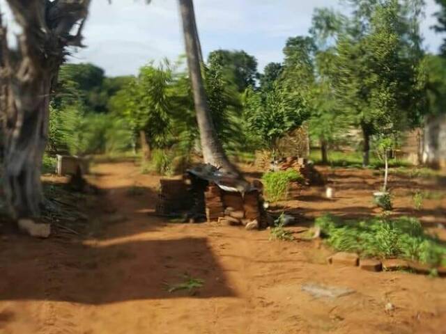 Área para Venda em Matola - 3