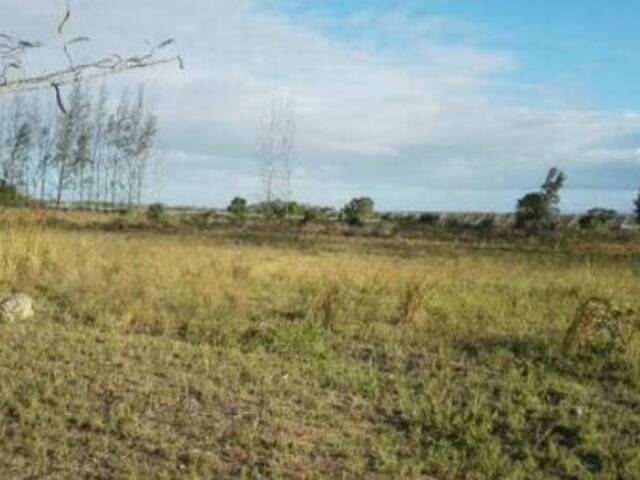 Venda em Municipio De MARRACUENE - Marracuene