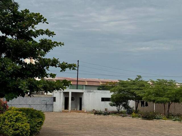 #250 - Galpão para Venda em Matola - Maputo - 3