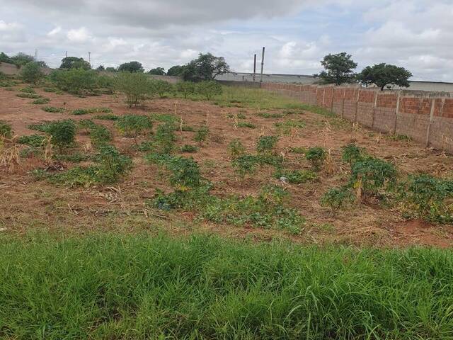 #255 - Área para Venda em Matola - Maputo - 3