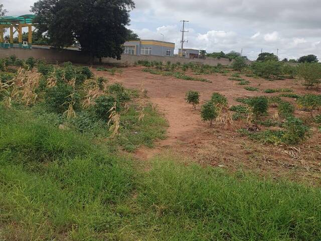 Área para Venda em Matola - 4