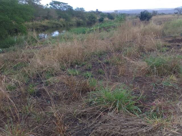 #253 - Área para Venda em Moamba - Maputo - 2