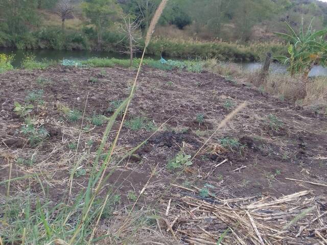 #253 - Área para Venda em Moamba - Maputo - 3