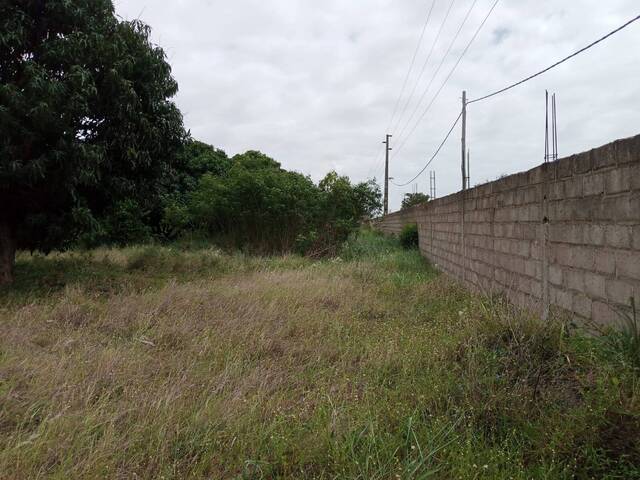 #277 - Área para Venda em Maputo - Maputo - 2