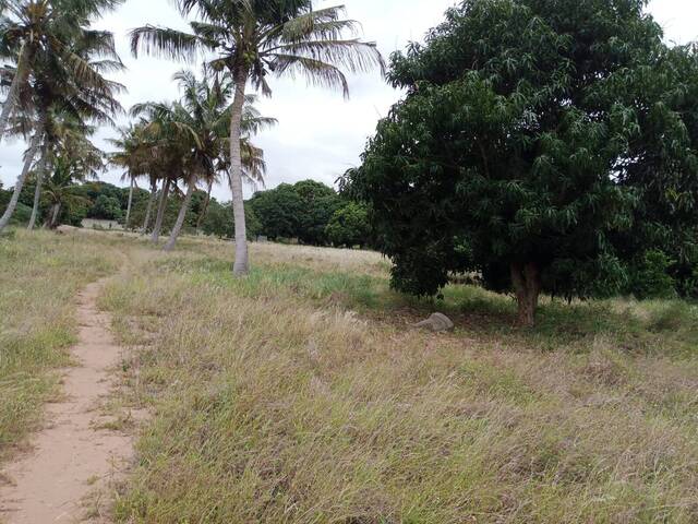 Área para Venda em Maputo - 4